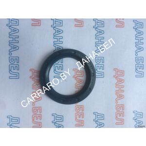 111.06.068.01 Сальник