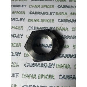 171.04.019.01 Гайка