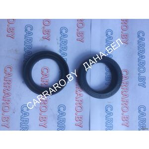 025153 Сальник