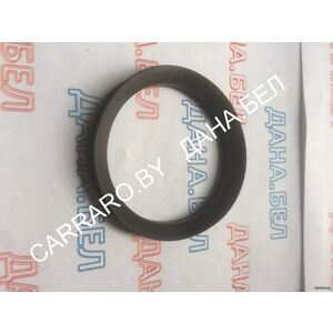 001.39.3169 Пыльник