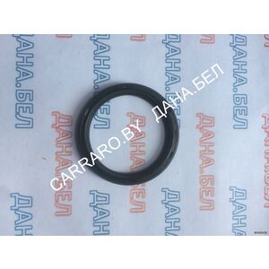 001.40.4360 Сальник