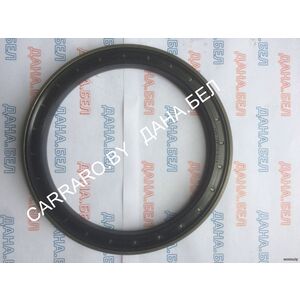 112.07.009.01 Кольцо уплотнительное