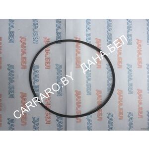 112.07.008.01 Кольцо уплотнительное