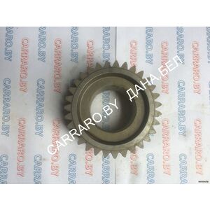 51336059 Сателлит