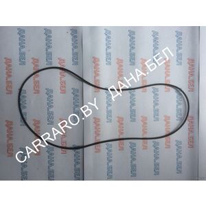 76086000 Кольцо уплотнительное CNH