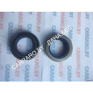 ER126403 Сальник John Deere