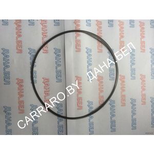 562523 Кольцо уплотнительное MANITOU