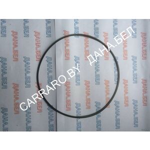 5H.1120700902 Кольцо уплотнительное DIECI