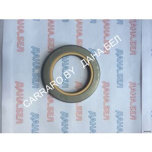 097-5296 Сальник