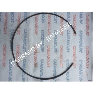 85806006 Кольцо стопорное CASE