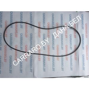 CA0028579 Кольцо уплотнительное KOMATSU