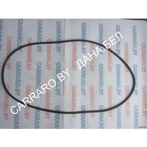 CA0028562 Кольцо уплотнительное KOMATSU