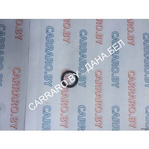 CA0028111 Кольцо уплотнительное KOMATSU