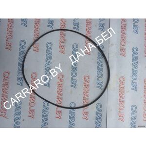 9828498 Кольцо CNH