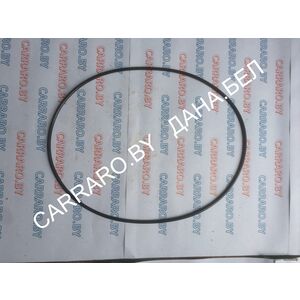 85819719 Кольцо уплотнительное FARESIN