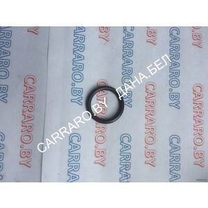 Перейти на страницу товара 28118 Кольцо уплотнительное FARESIN