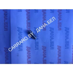 607225901 Штифт FARESIN