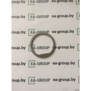 613536601 Шайба FARESIN